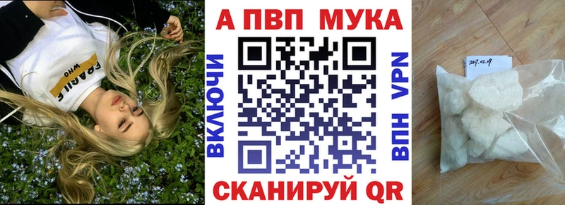 Альфа ПВП СК КРИС  Дно 
