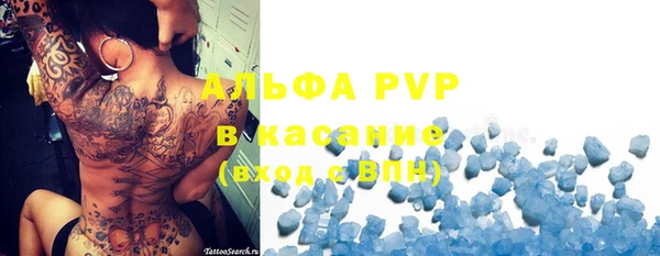 PSILOCYBIN Горняк