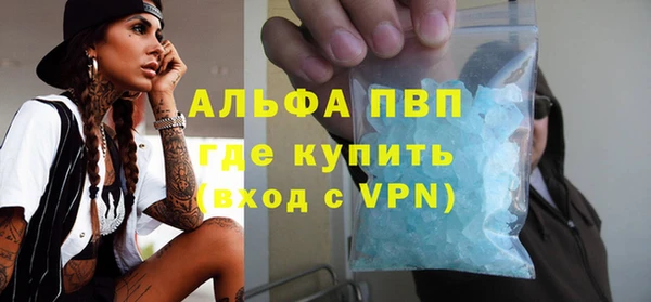 сатива Волосово