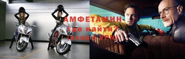 PSILOCYBIN Горняк