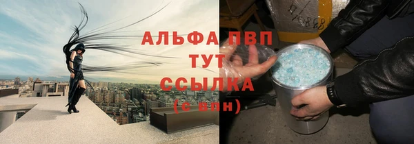 сатива Волосово