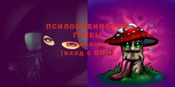 прущие грибы Горно-Алтайск