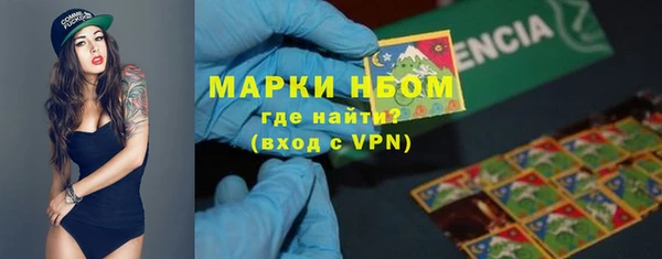 сатива Волосово