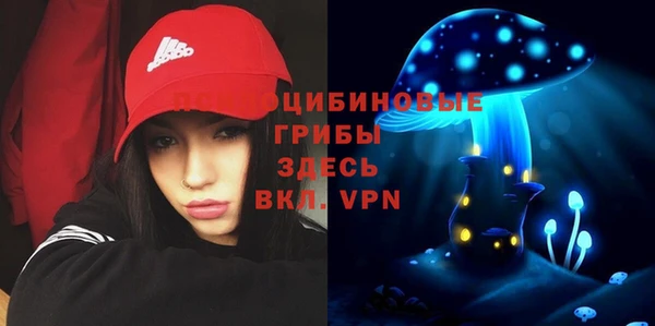 гашик Волоколамск