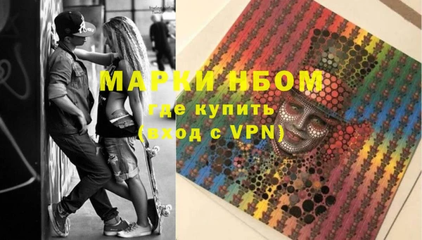 прущие грибы Горно-Алтайск