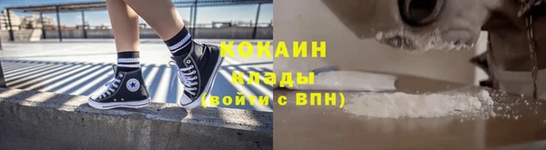 прущие грибы Горно-Алтайск