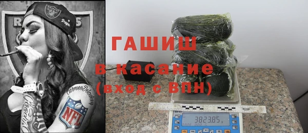 PSILOCYBIN Горняк