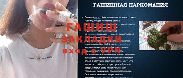 прущие грибы Горно-Алтайск