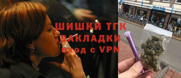 прущие грибы Горно-Алтайск