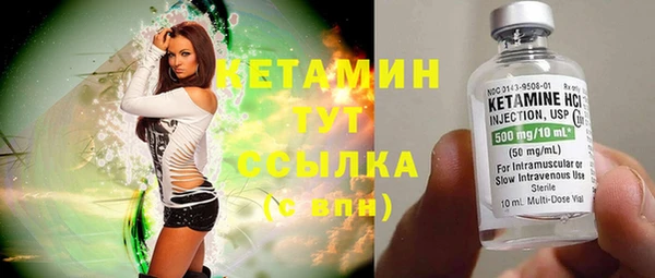 прущие грибы Горно-Алтайск