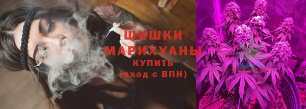 сатива Волосово