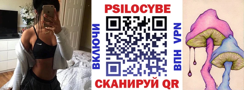 Псилоцибиновые грибы Psilocybe  Дно 